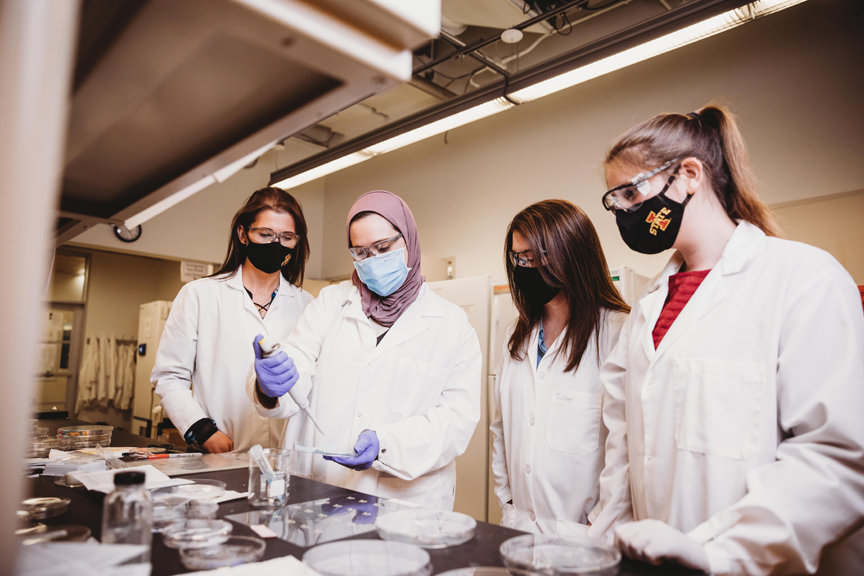 Students studying chemistry in a lab