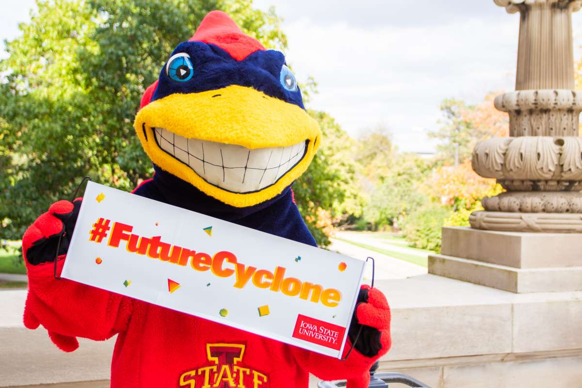 Cy the Mascot